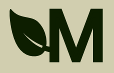 Mashoes